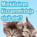 Voita kissanruoat kokonaiseksi vuodeksi
